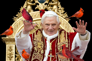Pope And Cardinals